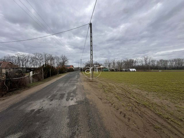 Eladó mezogazdasagi ingatlan, Domaszéken 32 M Ft