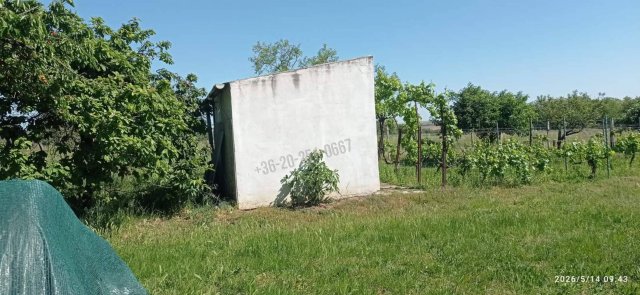 Eladó mezogazdasagi ingatlan, Mohácson 6 M Ft, 2 szobás