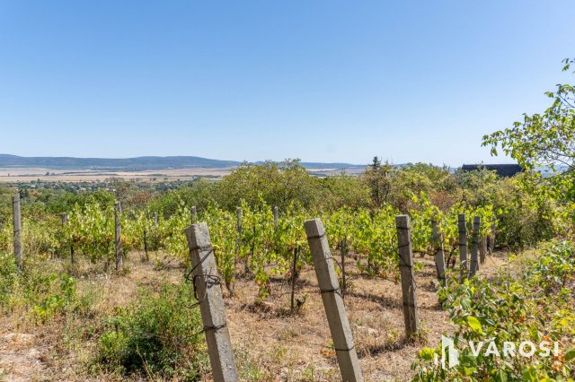 Eladó mezogazdasagi ingatlan, Zsámbékon 25.5 M Ft