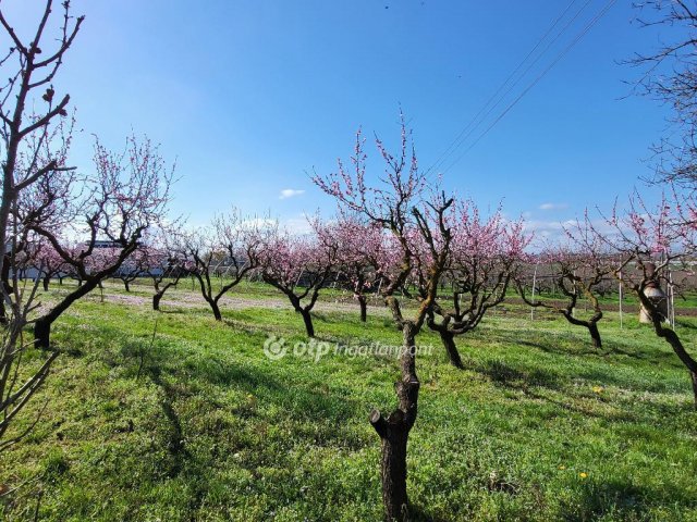 Eladó telek, Siófokon 127 M Ft / költözzbe.hu