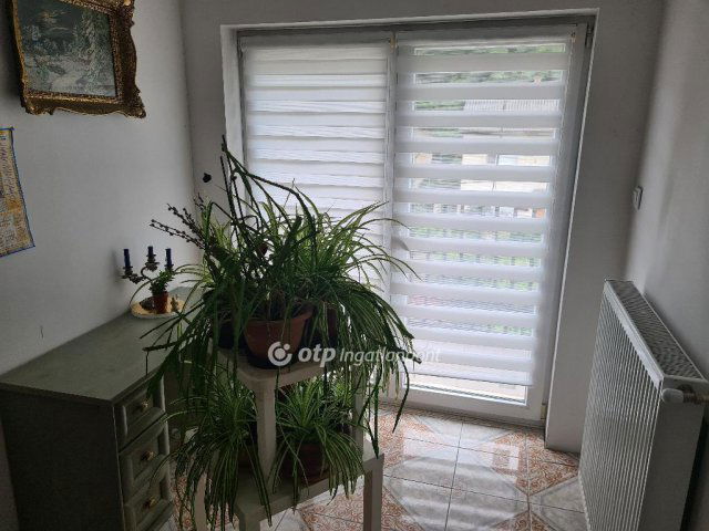 Eladó családi ház, Diósdon 350 M Ft, 6 szobás