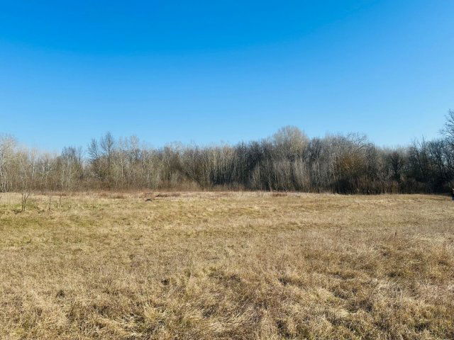 Eladó mezogazdasagi ingatlan, Debrecenben 20 M Ft