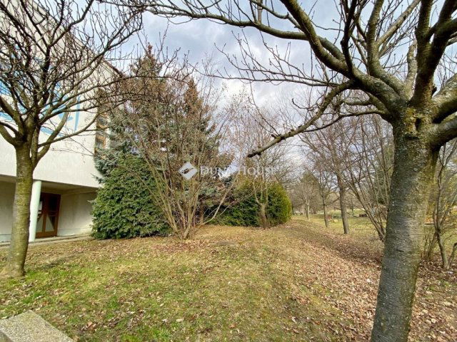 Eladó téglalakás, Kőszegen 74.9 M Ft, 7 szobás