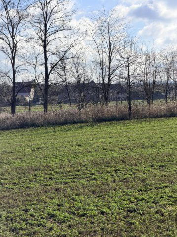 Kiadó mezogazdasagi ingatlan, Tatán 200 E Ft / hó