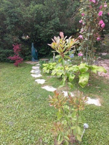 Eladó családi ház, Esztergomban 134.9 M Ft, 5 szobás