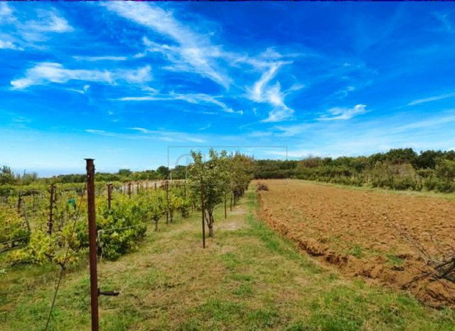 Eladó mezogazdasagi ingatlan, Várpalotán 10 M Ft, 2 szobás