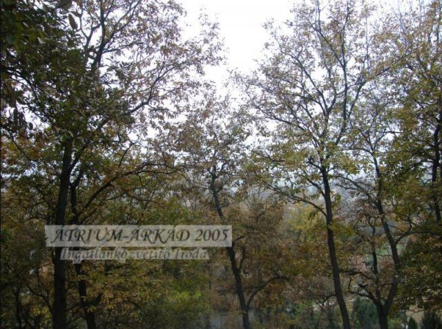 Eladó telek, Diósdon 74.9 M Ft / költözzbe.hu