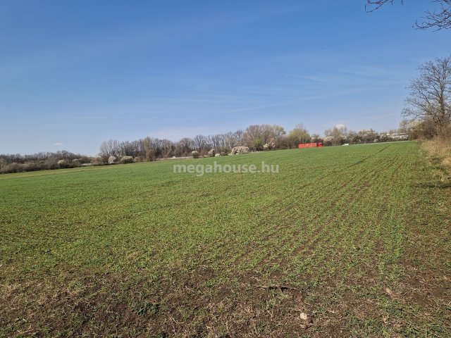 Eladó telek, Tárnokon 150 M Ft / költözzbe.hu