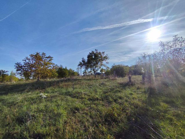 Eladó mezogazdasagi ingatlan, Nádasdladányban 8 M Ft