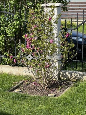 Eladó ikerház, Délegyházán 120 M Ft, 3 szobás