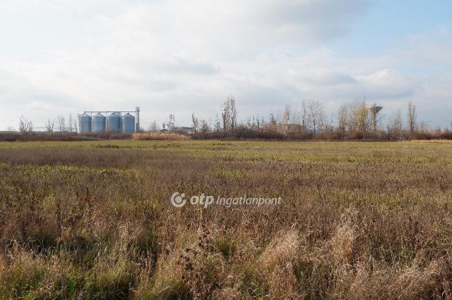 Eladó ipari ingatlan, Hódmezővásárhelyen 700 M Ft