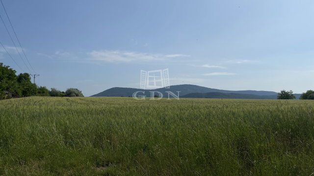 Eladó mezogazdasagi ingatlan, Solymáron 19.2 M Ft