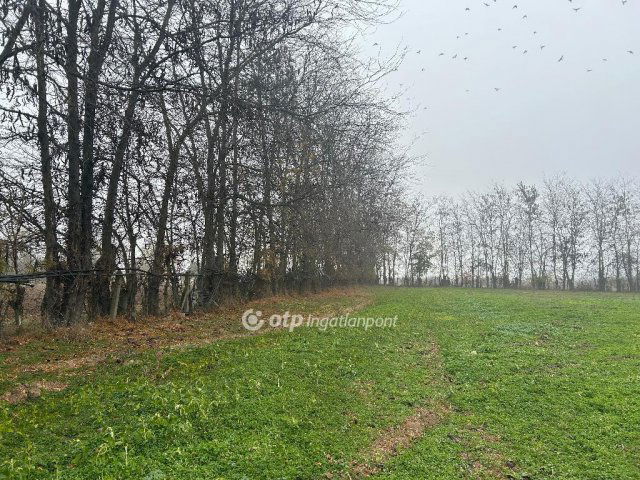 Eladó telek, Biharkeresztesen 10 M Ft / költözzbe.hu