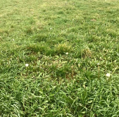 Eladó telek, Márkón 30 M Ft / költözzbe.hu