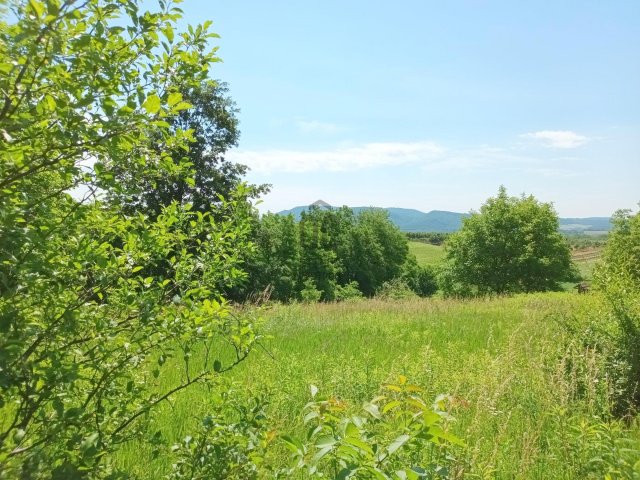 Eladó telek, Vindornyalakon 3.9 M Ft / költözzbe.hu