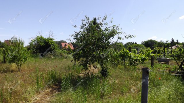 Eladó telek, Homokbödögén 4.5 M Ft / költözzbe.hu