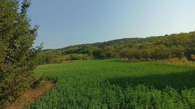 Eladó telek, Kajárpécen 12.9 M Ft / költözzbe.hu