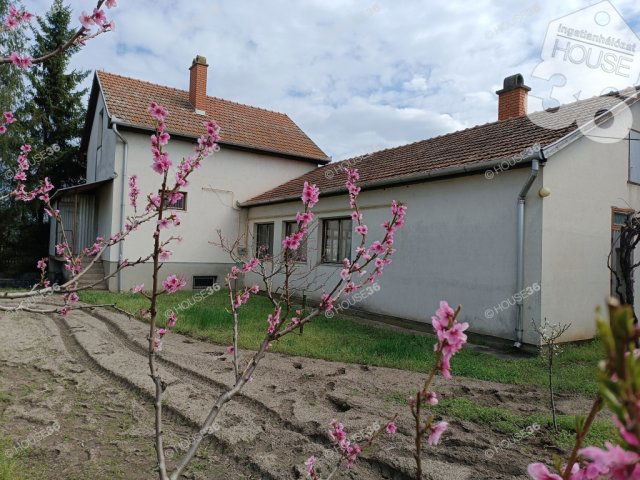 Eladó családi ház, Kiskunfélegyházán 30 M Ft, 3 szobás