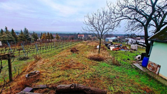 Eladó családi ház, Csákváron 5.5 M Ft, 2 szobás