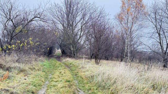 Eladó telek, Budapesten, XVII. kerületben, Kopolya utcában