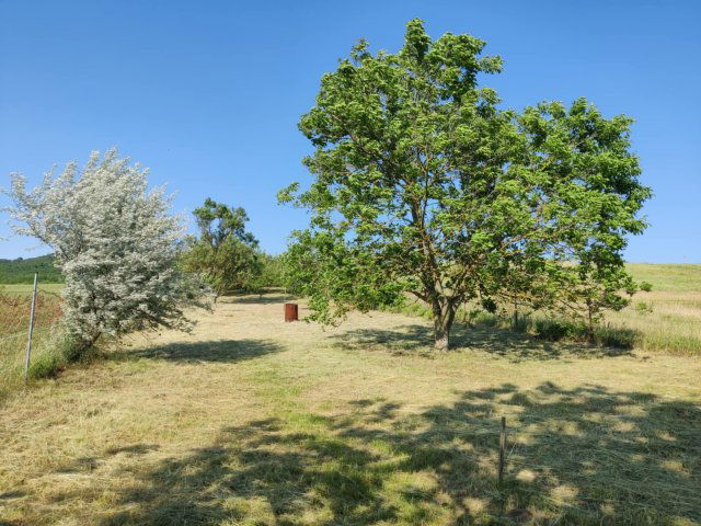 Eladó mezogazdasagi ingatlan, Esztergomban 4.99 M Ft