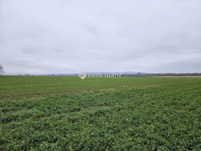 Eladó telek, Csóton 5 M Ft / költözzbe.hu