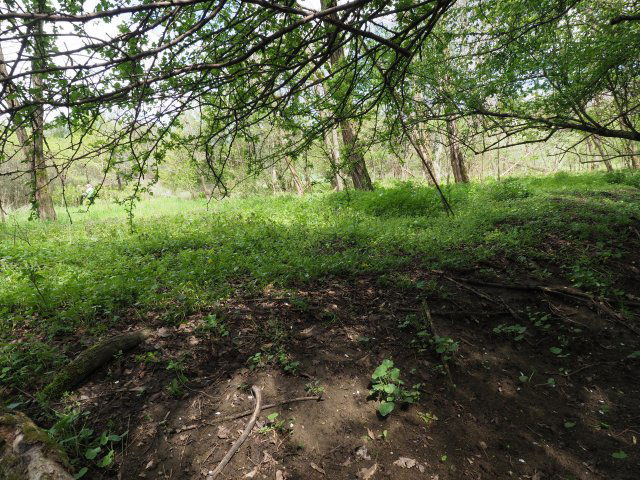 Eladó mezogazdasagi ingatlan, Egerben 3.1 M Ft