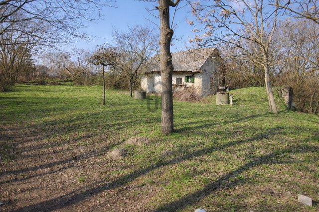 Eladó telek, Sárszentmihályon 19.9 M Ft / költözzbe.hu
