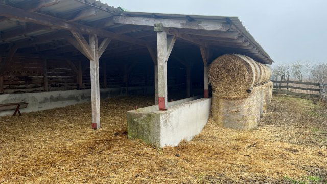 Eladó mezogazdasagi ingatlan, Vásárosmiskén 45 M Ft