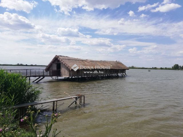 Eladó mezogazdasagi ingatlan, Tiszasülyön 435 M Ft