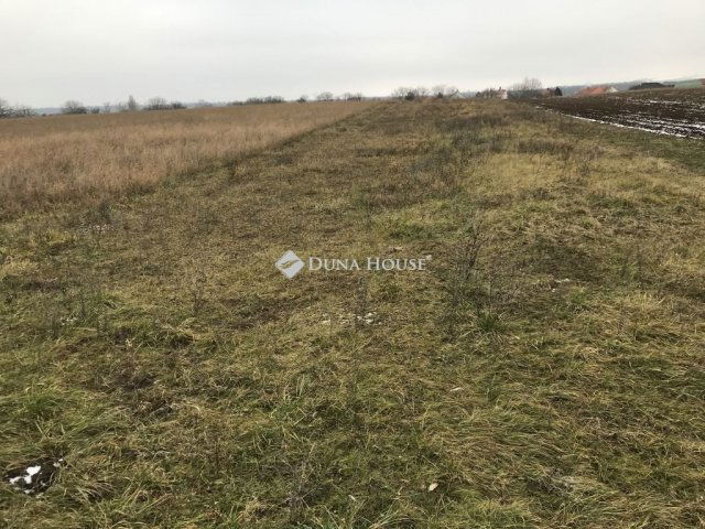 Eladó telek, Pátkán 7.49 M Ft / költözzbe.hu