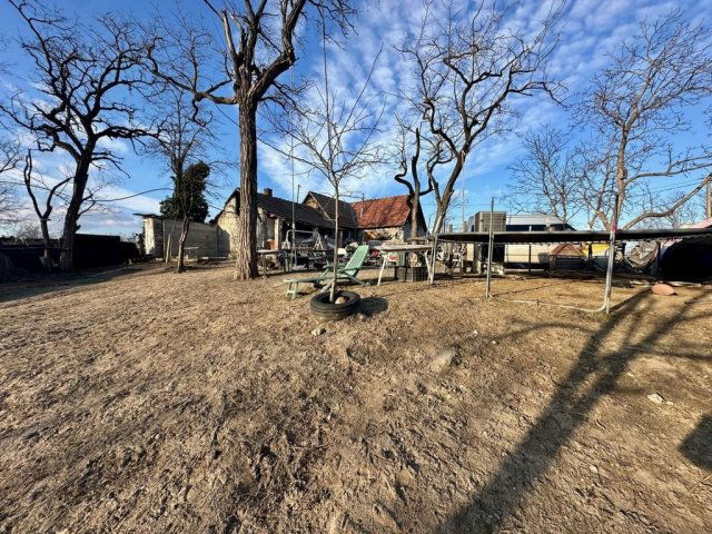 Eladó telek, Délegyházán 64.99 M Ft / költözzbe.hu