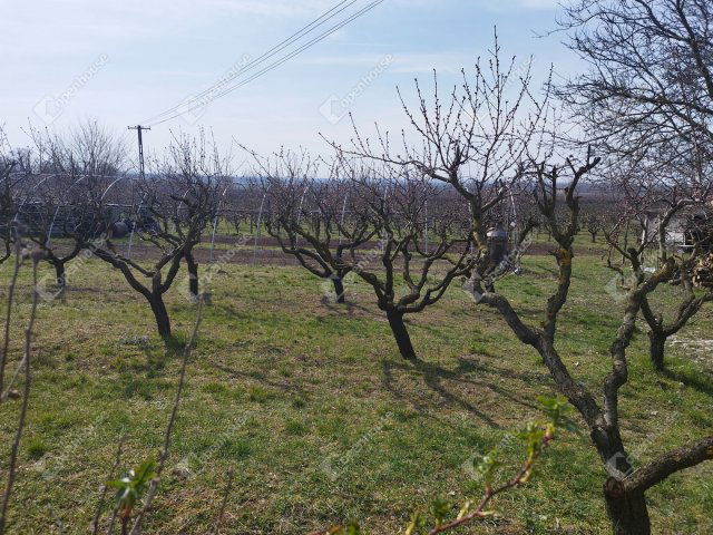 Eladó telek, Siófokon 45 M Ft / költözzbe.hu