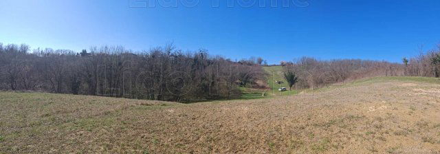 Eladó mezogazdasagi ingatlan, Zalacsányon 7.9 M Ft