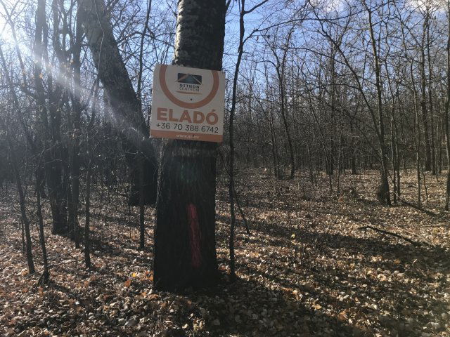 Eladó mezogazdasagi ingatlan, Tápióbicskén 14.9 M Ft