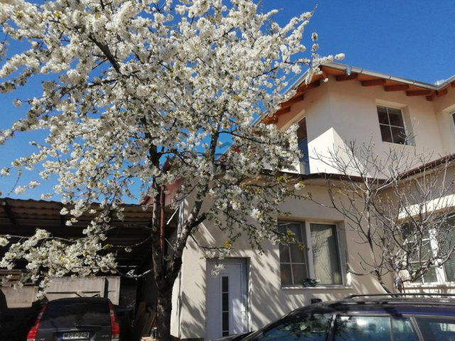 Eladó családi ház, Szigetszentmiklóson 159.9 M Ft, 8 szobás