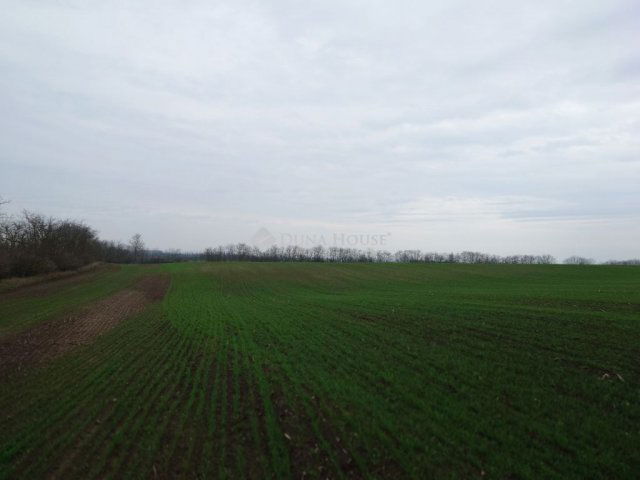 Eladó telek, Monorierdőn 49 M Ft / költözzbe.hu