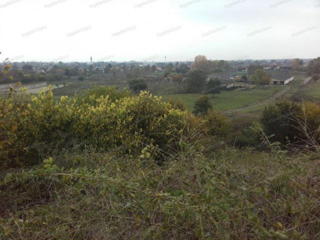 Eladó ipari ingatlan, Solton 196.93 M Ft / költözzbe.hu