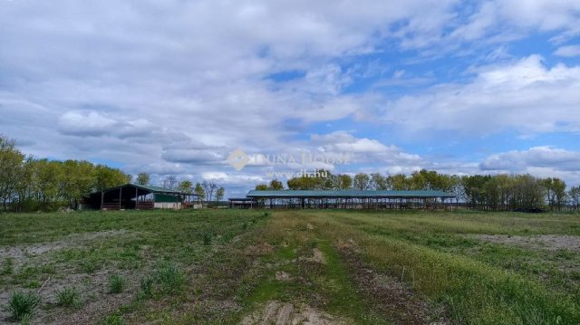 Eladó mezogazdasagi ingatlan, Kocséren 125 M Ft, 5 szobás