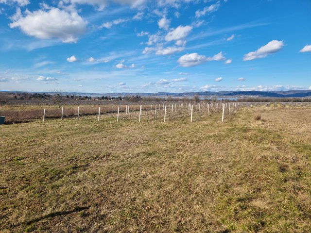 Eladó telek, Balatonberényben 14.9 M Ft / költözzbe.hu
