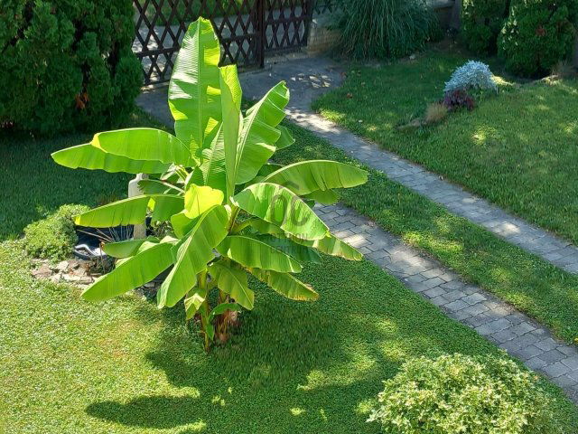 Eladó családi ház, Zalaegerszegen 83 M Ft, 6 szobás