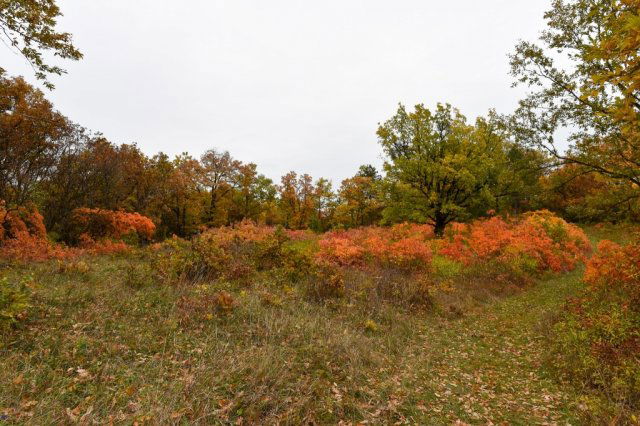 Eladó telek, Pécselyen 19.99 M Ft / költözzbe.hu