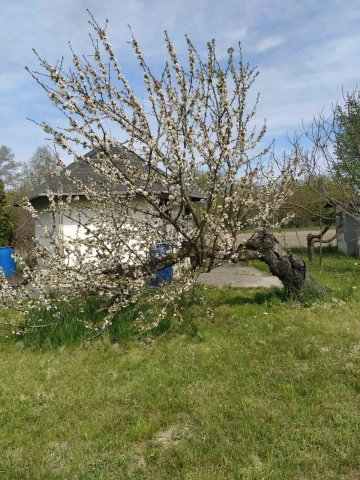 Eladó telek, Budapesten, XXI. kerületben 4.99 M Ft