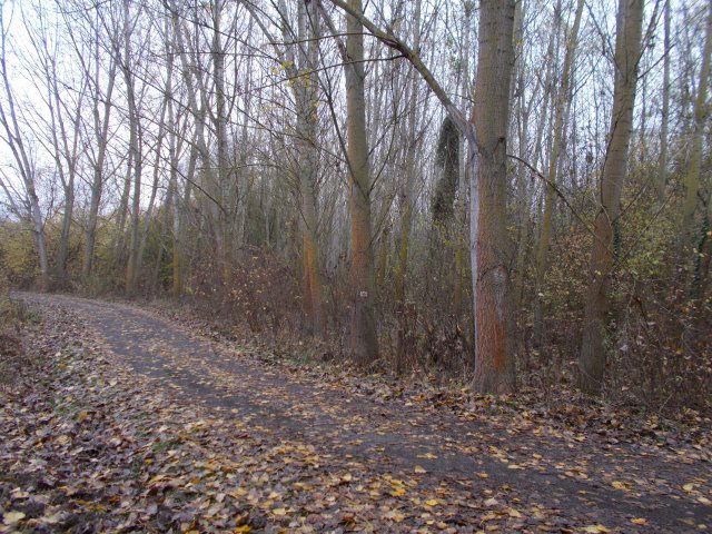 Eladó mezogazdasagi ingatlan, Ságváron 78 M Ft