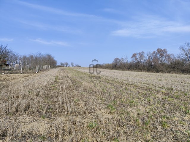 Eladó telek, Magyaralmáson 6.5 M Ft / költözzbe.hu