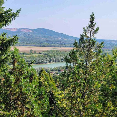 Eladó nyaraló, Dunabogdányban 42.9 M Ft, 4 szobás