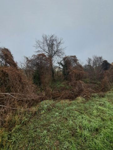 Eladó telek, Kocson 10 M Ft / költözzbe.hu
