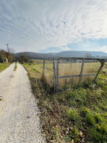 Eladó családi ház, Tatán 24.9 M Ft, 1 szobás