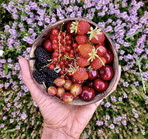 Eladó telek, Pécsett 47 M Ft / költözzbe.hu