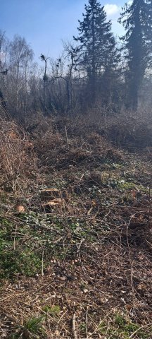 Eladó telek, Zalakaroson 4.5 M Ft / költözzbe.hu